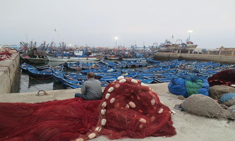 Le port de pêche essaouira
